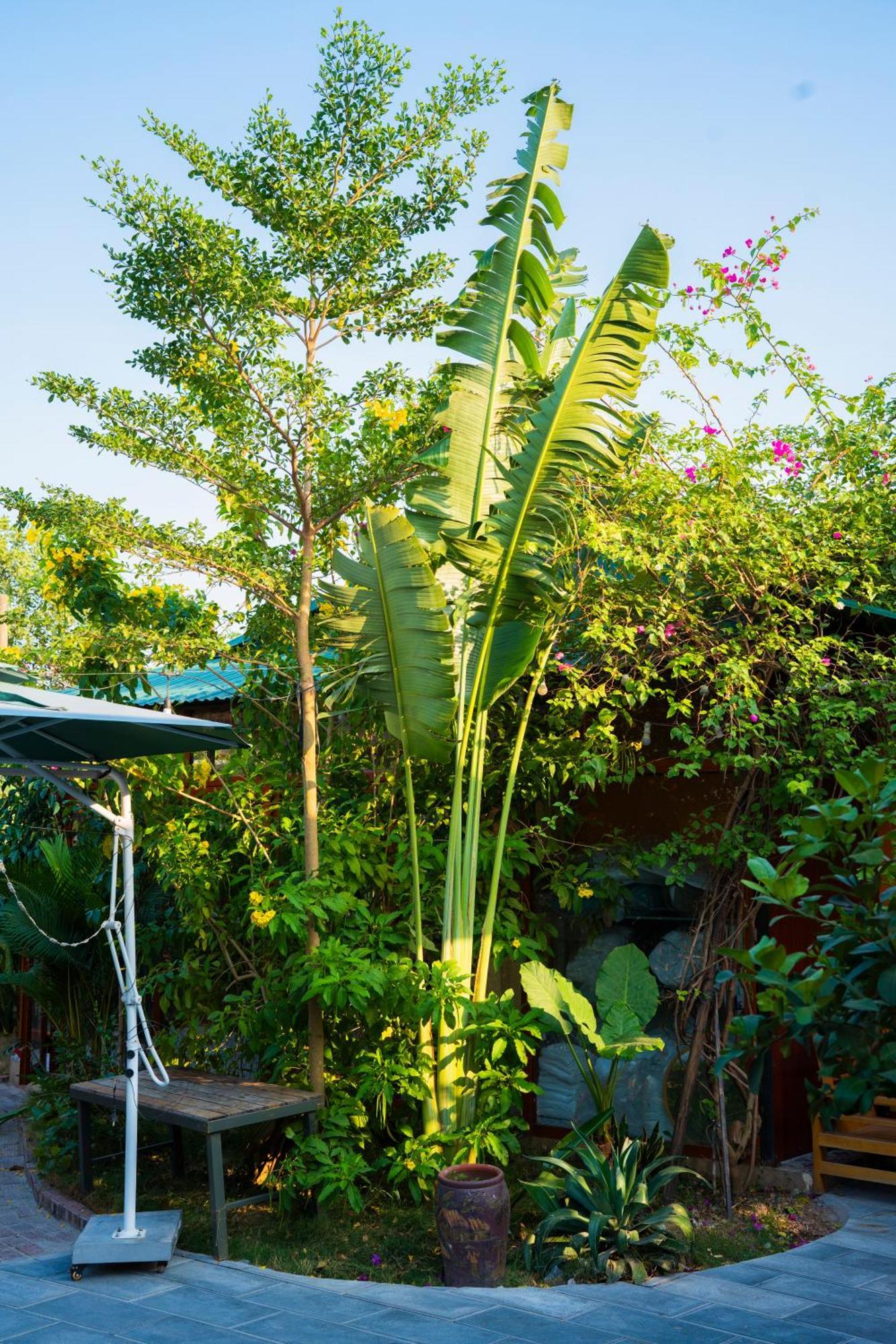 Rosa Garden Hotel Ninh Binh Buitenkant foto